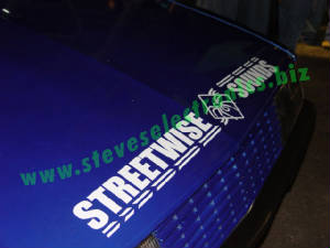 dsc06900.jpg